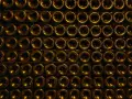 Reihen von Champagnerflaschen, die aufrecht stehen. Der Champagner hat einen Alkoholgehalt von etwa 12%.