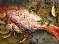 Ein ganzer, gebackener Red Snapper mit Zitronenspalten und Kräutern auf einem Backblech.