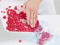 Hand schaufelt gefrorene Johannisbeeren von einer Schale in einen Gefrierbeutel, um sie zu verarbeiten.