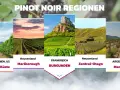 Pinot Noir Trauben wachsen in Kalifornien, Neuseeland, Frankreich (Burgund) und Argentinien.