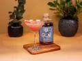 Ein erfrischender Sloe Gin Fizz mit Grapefruit-Garnitur neben einer Flasche Sloe Gin.