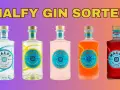 Fünf Malfy Gin Sorten: Originale, Con Limone, Gin Rosa, Con Arancia und Con Amarena.