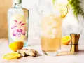 Erfrischender Gin mit Ginger Ale, garniert mit Zitrone. Daneben eine Flasche "Citrus Gin", Ingwer und Zitronenscheiben.