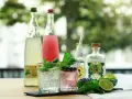 Zwei erfrischende alkoholfreie Gin Tonic Cocktails mit Minze, Limette und Blaubeeren. Im Hintergrund stehen Flaschen mit Limonade und alkoholfreiem Gin.