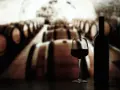 Ein Glas und eine Flasche Rotwein stehen vor einer Reihe von Eichenfässern in einer Weinkeller. Ein perfekter Rioja Spanien Wein.