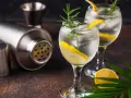 Zwei erfrischende Gin Tonic mit Zitrone und Rosmarin, dane ein Shaker. Perfekt für den Abend, mit dem richtigen Gin Tonic Prozent.