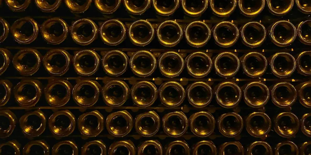 Reihen von Champagnerflaschen, die aufrecht stehen. Der Champagner hat einen Alkoholgehalt von etwa 12%.