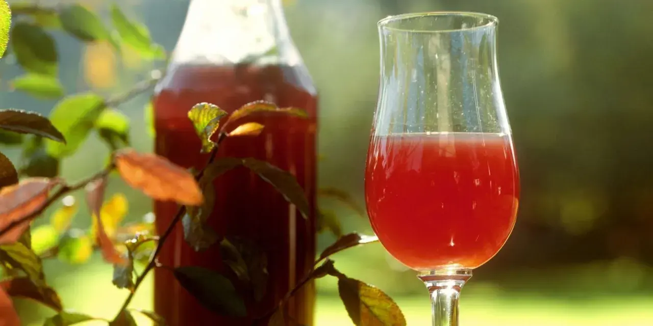 Ein Glas und eine Flasche mit rotem Likör, umgeben von Blättern. Perfekt für ein Sloe Gin Rezept.