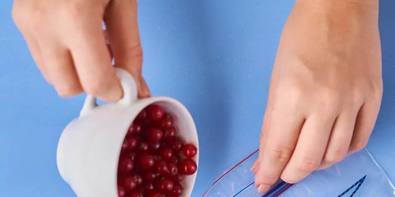 Hände leeren eine Tasse mit roten Johannisbeeren in einen Gefrierbeutel. So lassen sich Johannisbeeren einfrieren.