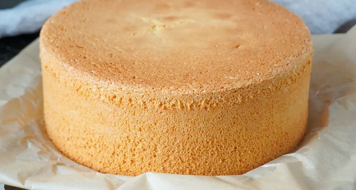 Perfekter Biskuitboden, ideal für jedes biskuitboden rezept. Locker und goldbraun gebacken, wartet er darauf, verziert zu werden.