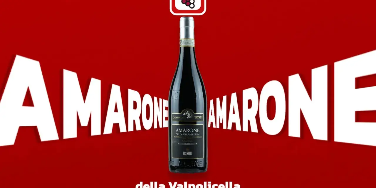 Flasche Amarone della Valpolicella, ein italienischer Rotwein, umgeben von riesigen weißen Buchstaben "AMARONE".