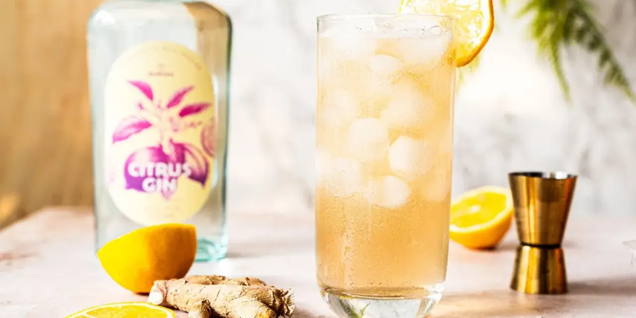 Erfrischender Gin mit Ginger Ale, garniert mit Zitrone. Daneben eine Flasche "Citrus Gin", Ingwer und Zitronenscheiben.