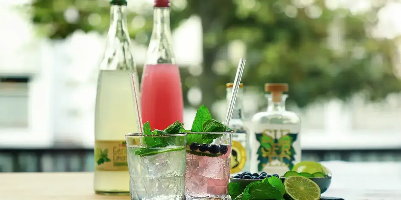 Zwei erfrischende alkoholfreie Gin Tonic Cocktails mit Minze, Limette und Blaubeeren. Im Hintergrund stehen Flaschen mit Limonade und alkoholfreiem Gin.