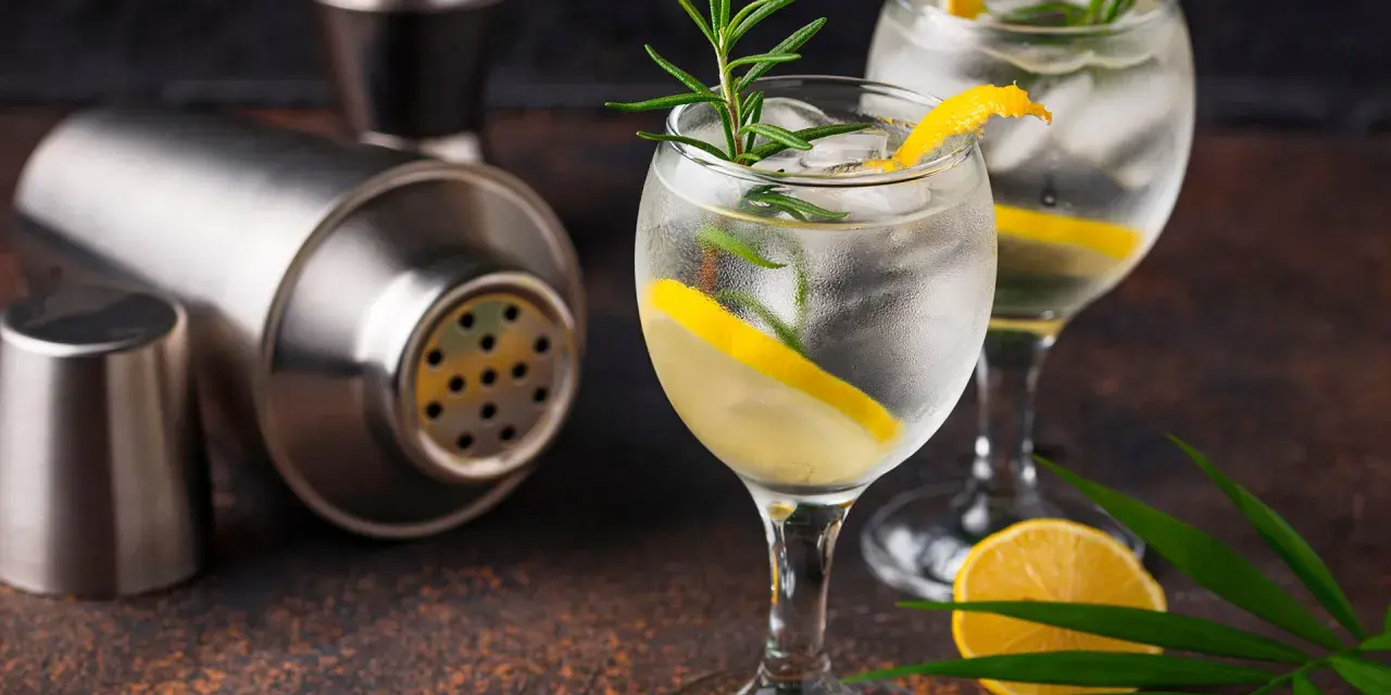 Zwei erfrischende Gin Tonic mit Zitrone und Rosmarin, dane ein Shaker. Perfekt für den Abend, mit dem richtigen Gin Tonic Prozent.