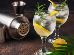 Zwei erfrischende Gin Tonic mit Zitrone und Rosmarin, dane ein Shaker. Perfekt für den Abend, mit dem richtigen Gin Tonic Prozent.