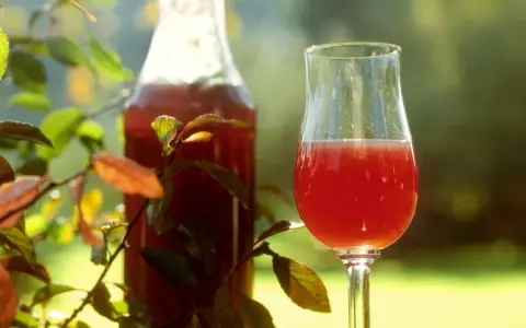 Ein Glas und eine Flasche mit rotem Likör, umgeben von Blättern. Perfekt für ein Sloe Gin Rezept.