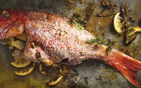 Ein ganzer, gebackener Red Snapper mit Zitronenspalten und Kräutern auf einem Backblech.