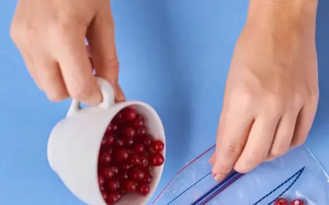 Hände leeren eine Tasse mit roten Johannisbeeren in einen Gefrierbeutel. So lassen sich Johannisbeeren einfrieren.