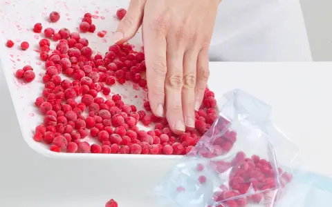 Hand schaufelt gefrorene Johannisbeeren von einer Schale in einen Gefrierbeutel, um sie zu verarbeiten.