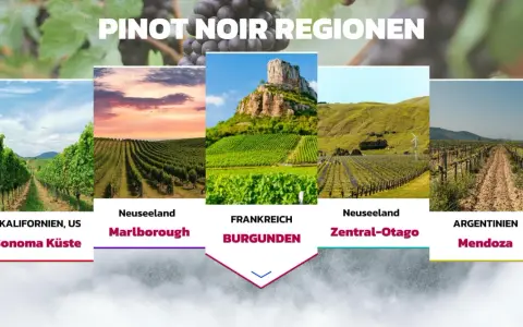 Pinot Noir Trauben wachsen in Kalifornien, Neuseeland, Frankreich (Burgund) und Argentinien.