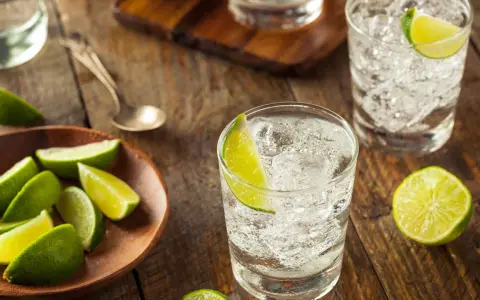 Erfrischender Jean Tonic mit Eis und Limettenspalten auf rustikalem Holztisch.