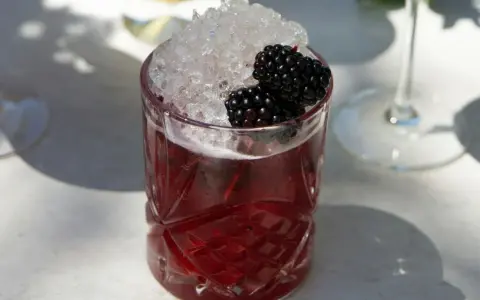 Ein Glas mit einem tiefroten Drink, gefüllt mit zerstoßenem Eis und garniert mit Brombeeren. Perfekt für die besten Cocktails an einem sonnigen Tag.
