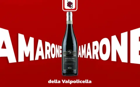 Flasche Amarone della Valpolicella, ein italienischer Rotwein, umgeben von riesigen weißen Buchstaben "AMARONE".
