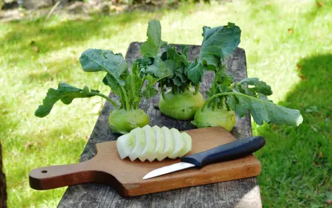Frisch geernteter Kohlrabi liegt bereit, um gekocht zu werden. Ein Messer und geschnittene Scheiben liegen auf einem Holzbrett.
