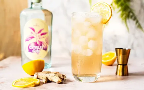 Erfrischender Gin mit Ginger Ale, garniert mit Zitrone. Daneben eine Flasche "Citrus Gin", Ingwer und Zitronenscheiben.