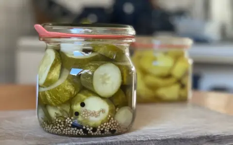 Einmachgläser mit Gurkenscheiben, Zwiebeln und Gewürzen. So werden Gurken eingelegt nach Omas Rezept.