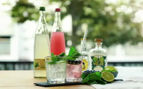 Zwei erfrischende alkoholfreie Gin Tonic Cocktails mit Minze, Limette und Blaubeeren. Im Hintergrund stehen Flaschen mit Limonade und alkoholfreiem Gin.