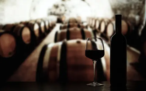 Ein Glas und eine Flasche Rotwein stehen vor einer Reihe von Eichenfässern in einer Weinkeller. Ein perfekter Rioja Spanien Wein.