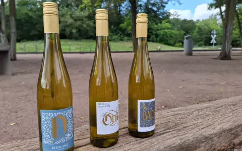 Drei Flaschen trockener Riesling stehen auf einem Holztisch im Freien. Die Etiketten zeigen verschiedene Designs, aber alle deuten auf die beliebte Riesling Rebsorte hin.
