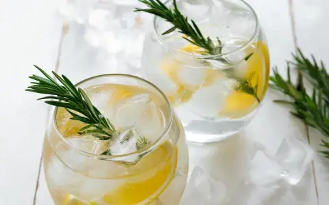 Zwei Gläser mit erfrischendem Gin mit Tonic Water, Eiswürfeln, Zitronenscheiben und Rosmarinzweigen.