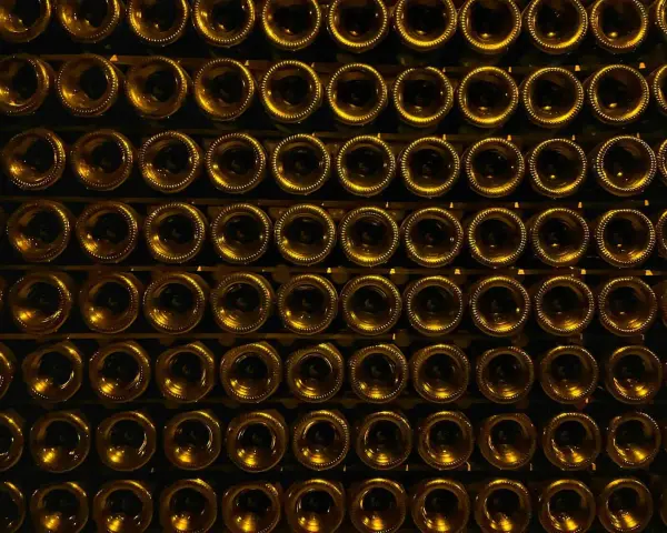 Reihen von Champagnerflaschen, die aufrecht stehen. Der Champagner hat einen Alkoholgehalt von etwa 12%.
