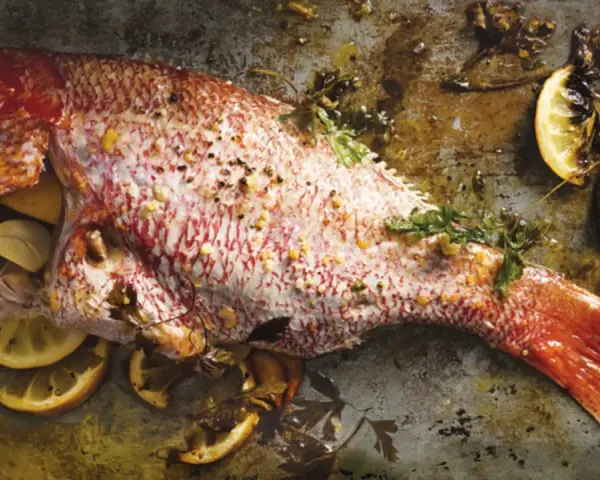 Ein ganzer, gebackener Red Snapper mit Zitronenspalten und Kräutern auf einem Backblech.