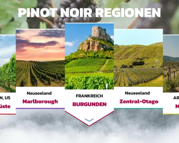Pinot Noir Trauben wachsen in Kalifornien, Neuseeland, Frankreich (Burgund) und Argentinien.