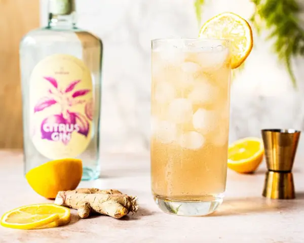 Erfrischender Gin mit Ginger Ale, garniert mit Zitrone. Daneben eine Flasche "Citrus Gin", Ingwer und Zitronenscheiben.