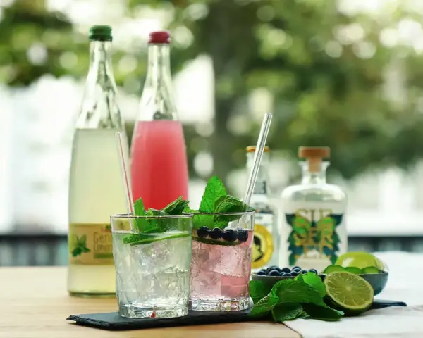 Zwei erfrischende alkoholfreie Gin Tonic Cocktails mit Minze, Limette und Blaubeeren. Im Hintergrund stehen Flaschen mit Limonade und alkoholfreiem Gin.