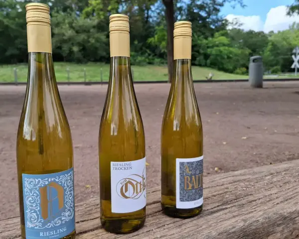 Drei Flaschen trockener Riesling stehen auf einem Holztisch im Freien. Die Etiketten zeigen verschiedene Designs, aber alle deuten auf die beliebte Riesling Rebsorte hin.