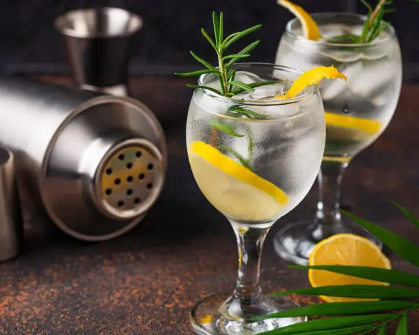 Zwei erfrischende Gin Tonic mit Zitrone und Rosmarin, dane ein Shaker. Perfekt für den Abend, mit dem richtigen Gin Tonic Prozent.