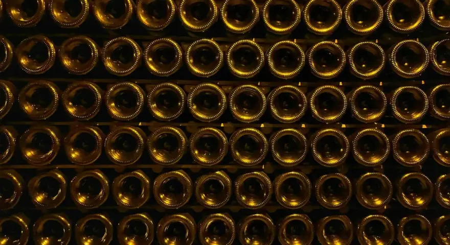 Reihen von Champagnerflaschen, die aufrecht stehen. Der Champagner hat einen Alkoholgehalt von etwa 12%.