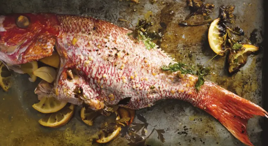 Ein ganzer, gebackener Red Snapper mit Zitronenspalten und Kräutern auf einem Backblech.