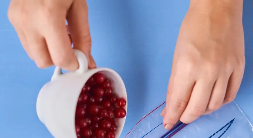 Hände leeren eine Tasse mit roten Johannisbeeren in einen Gefrierbeutel. So lassen sich Johannisbeeren einfrieren.