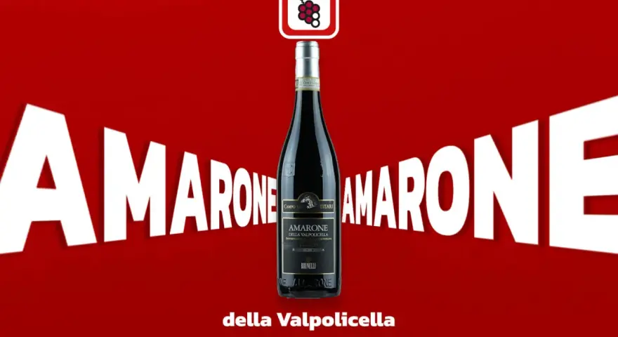 Flasche Amarone della Valpolicella, ein italienischer Rotwein, umgeben von riesigen weißen Buchstaben "AMARONE".