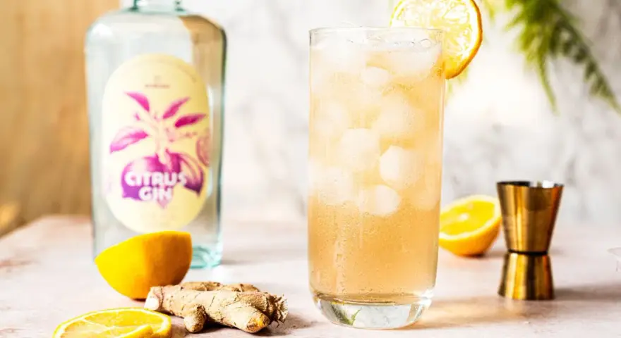 Erfrischender Gin mit Ginger Ale, garniert mit Zitrone. Daneben eine Flasche "Citrus Gin", Ingwer und Zitronenscheiben.