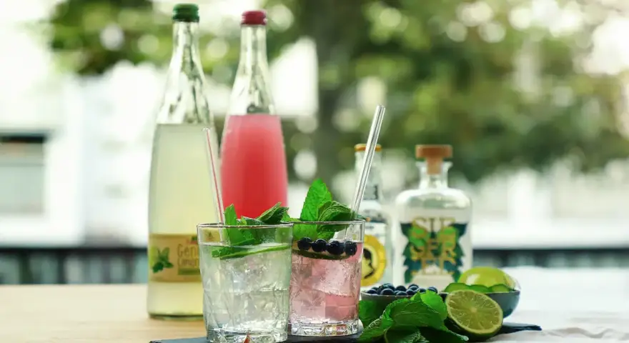 Zwei erfrischende alkoholfreie Gin Tonic Cocktails mit Minze, Limette und Blaubeeren. Im Hintergrund stehen Flaschen mit Limonade und alkoholfreiem Gin.