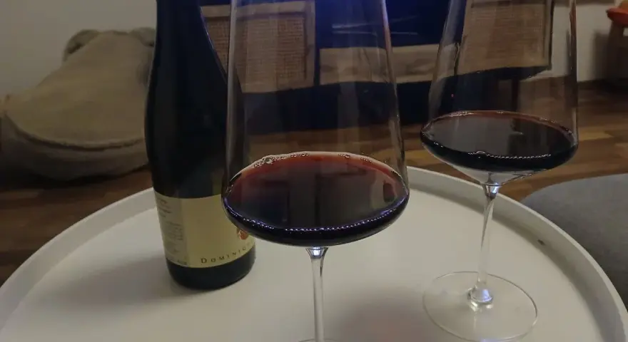 Zwei Gläser Rotwein und eine Flasche Wein, die an die Beaujolais-Region erinnert, stehen auf einem weißen Tablett.
