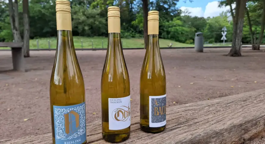 Drei Flaschen trockener Riesling stehen auf einem Holztisch im Freien. Die Etiketten zeigen verschiedene Designs, aber alle deuten auf die beliebte Riesling Rebsorte hin.