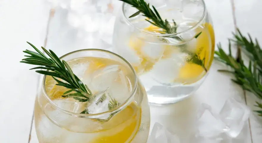 Zwei Gläser mit erfrischendem Gin mit Tonic Water, Eiswürfeln, Zitronenscheiben und Rosmarinzweigen.